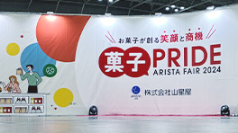 ARISTA FAIR